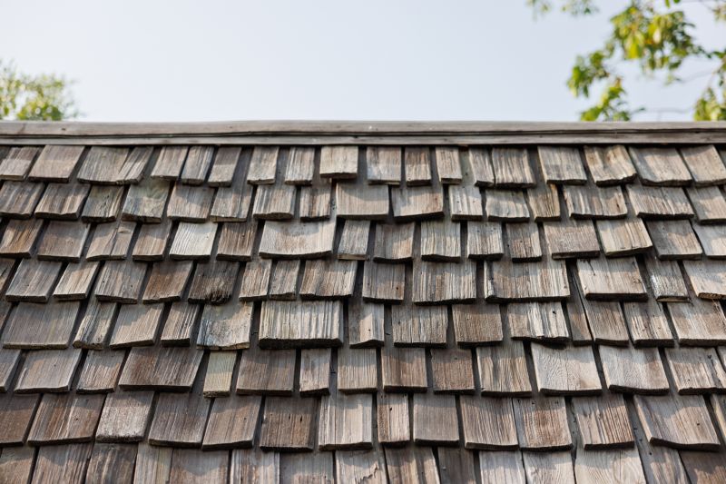 Cedar Roof Stain Removal