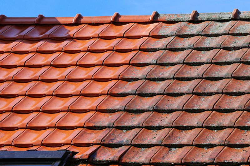 Roof Before Cleaning