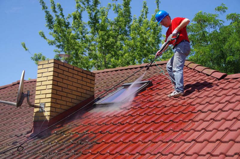 Signs Your Home Needs Professional Roof Cleaning
